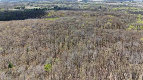 Tbd Bear Road Cushing MN 56443