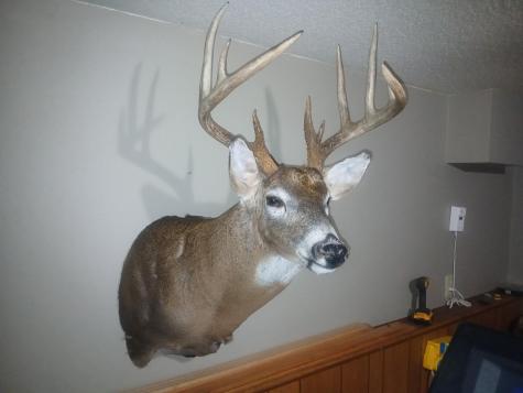 Tbd Bear Road Cushing MN 56443