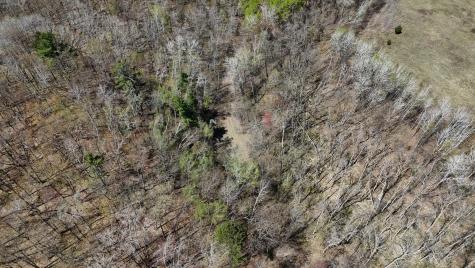 Tbd Bear Road Cushing MN 56443