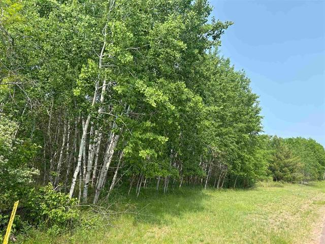 Lot 4 North Shore Drive Iron River WI 54847