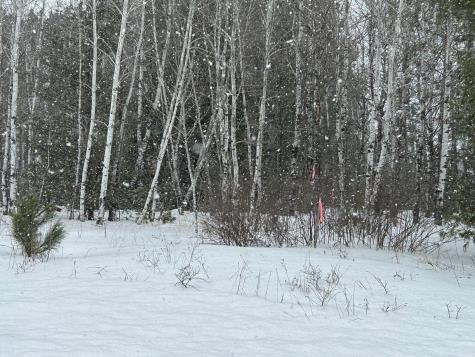 Lot 4 North Shore Drive Iron River WI 54847
