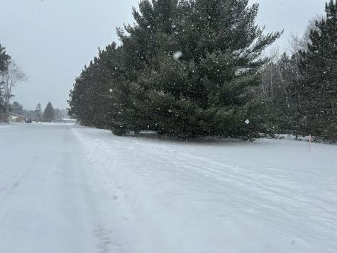 Lot 4 North Shore Drive Iron River WI 54847