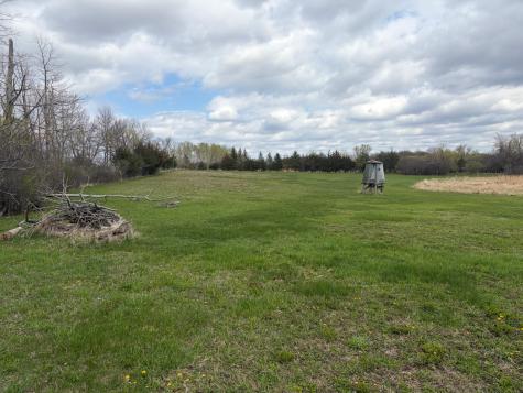 58255 Mn-7 Cosmos MN 56228