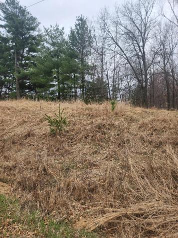 3650 253rd Avenue NE Isanti MN 55040