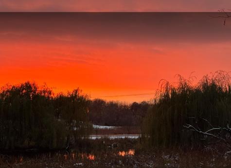 940 S Brown Road Wayzata MN 55391