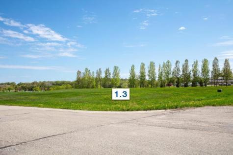 406 Lot1.3 5th Street E Brandon MN 56315