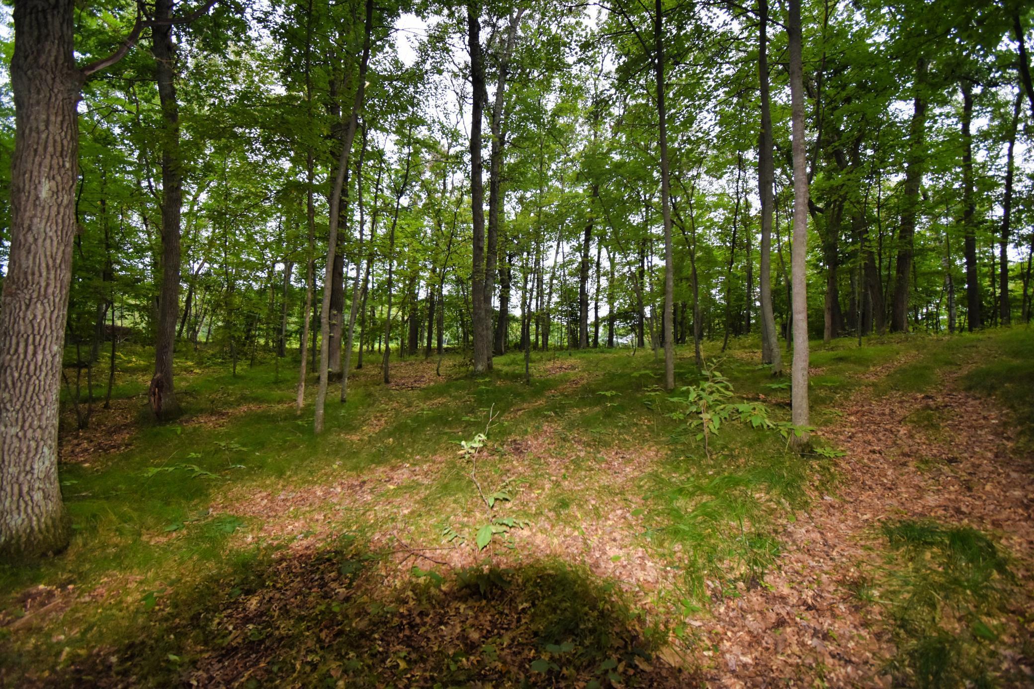 Tbd Osceola Circle Breezy Point MN 56472