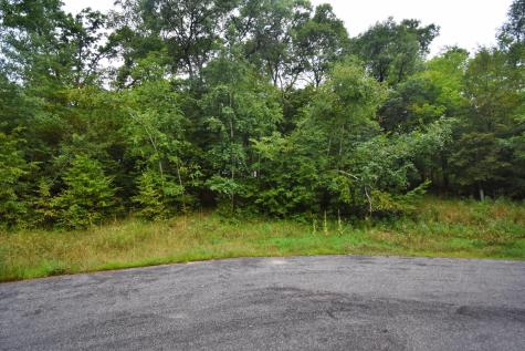 Tbd Osceola Circle Breezy Point MN 56472