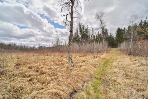 Tbd 65th Avenue SW Motley MN 56466