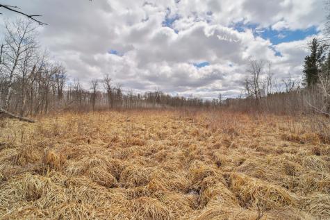 Tbd 65th Avenue SW Motley MN 56466