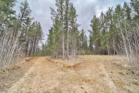 Tbd 65th Avenue SW Motley MN 56466