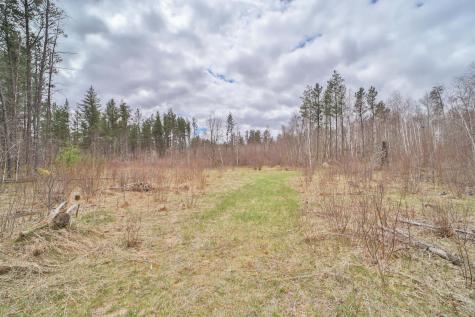 Tbd 65th Avenue SW Motley MN 56466