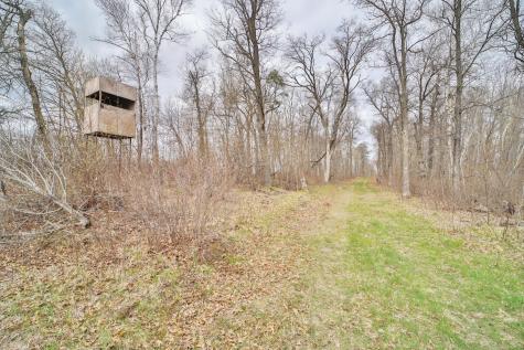 Tbd 65th Avenue SW Motley MN 56466