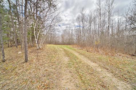 Tbd 65th Avenue SW Motley MN 56466