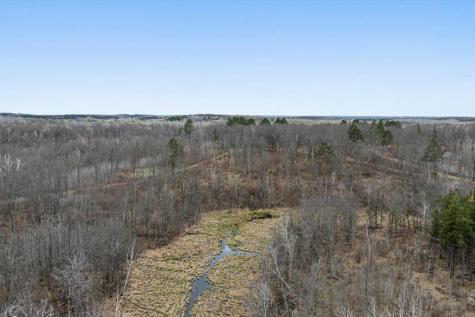Tbd 65th Avenue SW Motley MN 56466