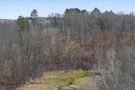 Tbd 65th Avenue SW Motley MN 56466