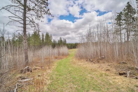 Tbd 65th Avenue SW Motley MN 56466