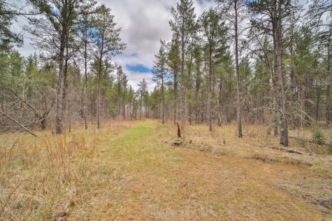 Tbd 65th Avenue SW Motley MN 56466