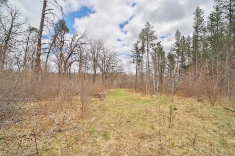 Tbd 65th Avenue SW Motley MN 56466