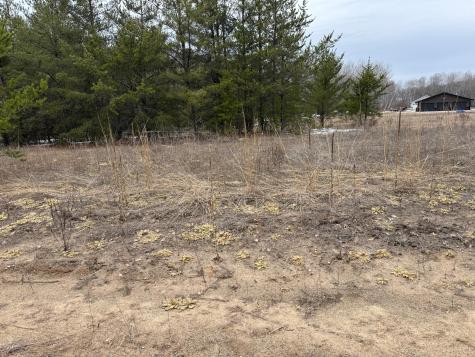 1707 Hassman Hill Tract B Road SW Pine River MN 56474