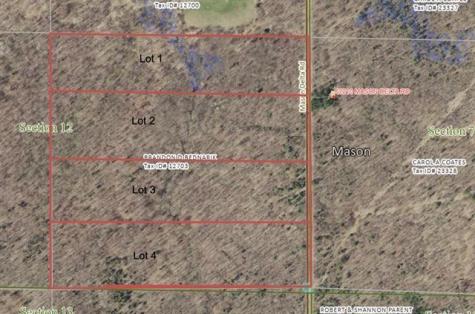 Lot 1 Mason Delta Road Delta WI 54856