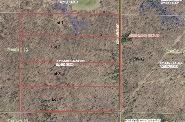 Lot 1 Mason Delta Road Delta WI 54856