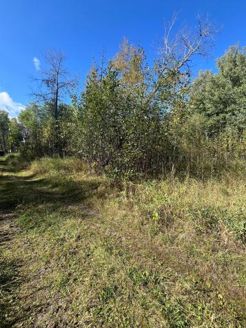 Tbd Parcel 1 E Pine Drive Angle Inlet MN 56711
