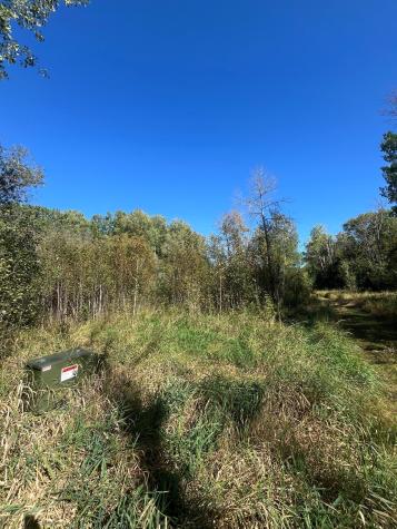 Tbd Parcel 1 E Pine Drive Angle Inlet MN 56711