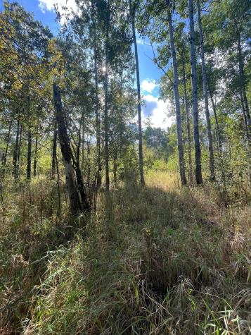 Tbd Parcel 1 E Pine Drive Angle Inlet MN 56711