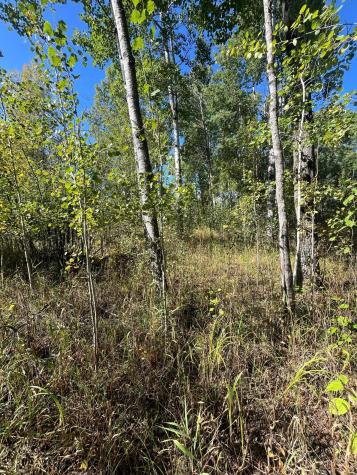 Tbd Parcel 1 E Pine Drive Angle Inlet MN 56711