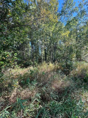 Tbd Parcel 1 E Pine Drive Angle Inlet MN 56711