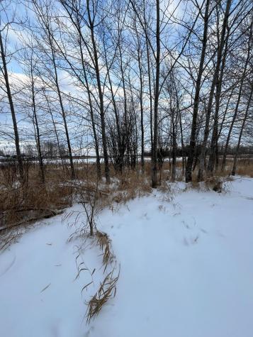 Tbd Parcel 1 E Pine Drive Angle Inlet MN 56711