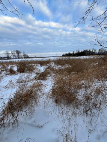 Tbd Parcel 1 E Pine Drive Angle Inlet MN 56711