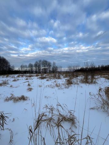Tbd Parcel 1 E Pine Drive Angle Inlet MN 56711