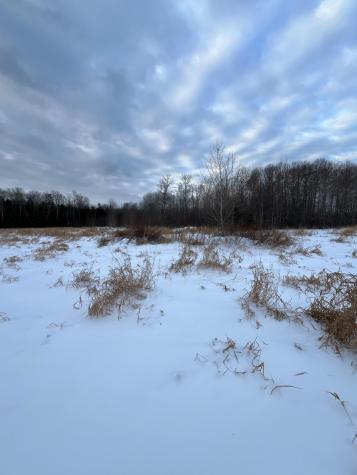 Tbd Parcel 1 E Pine Drive Angle Inlet MN 56711