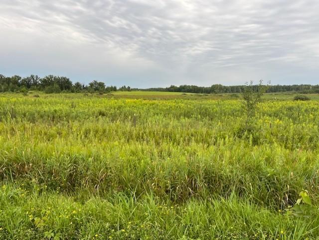 Tbd Olympic Street Brook Park MN 55007