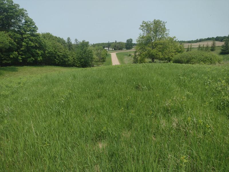 Lot 1 Block 3 Crystal Beach Road Pelican Rapids MN 56572