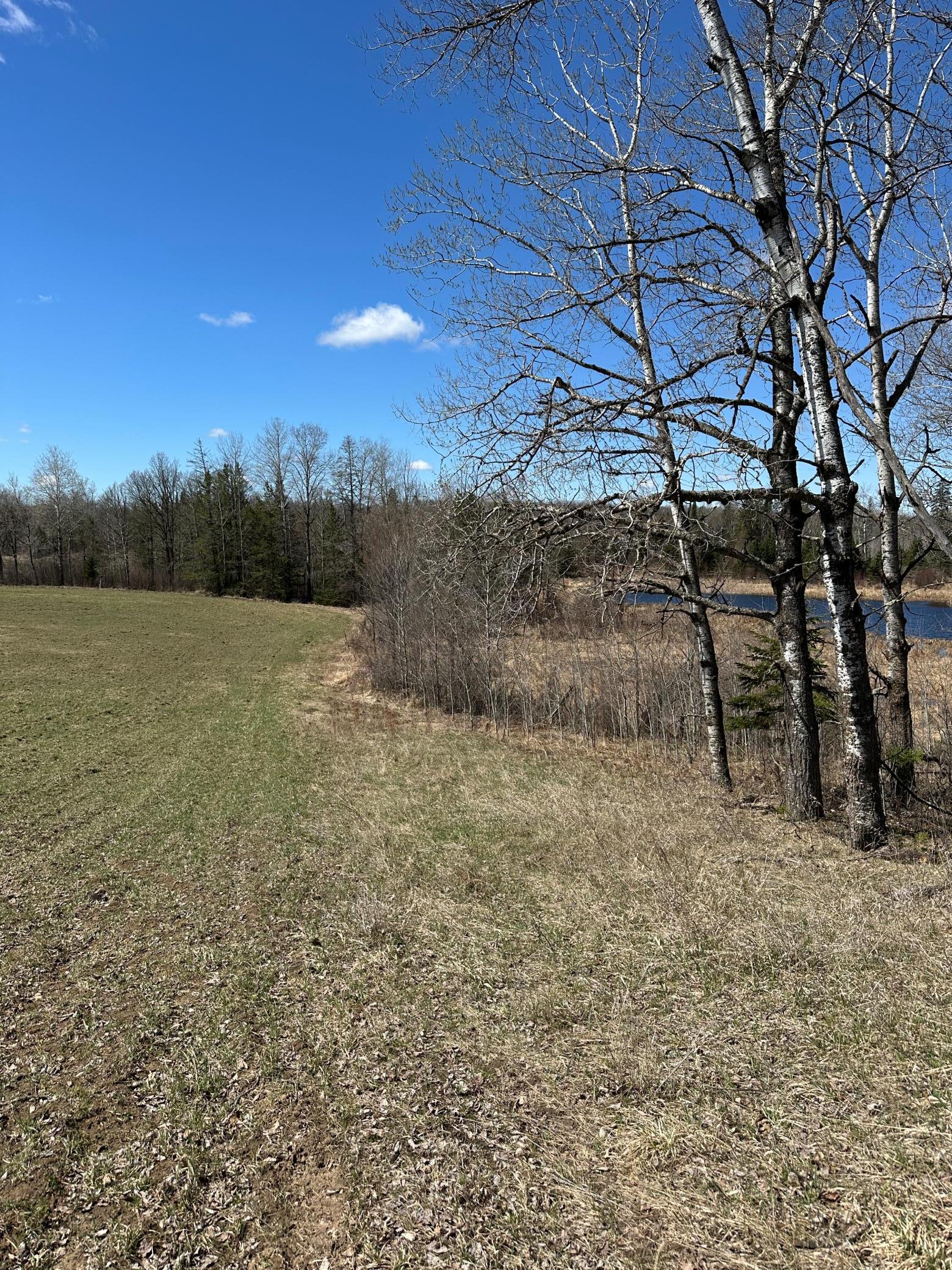 Tbd Ct Road 307 Blackduck MN 56630