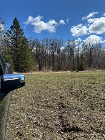 Tbd Ct Road 307 Blackduck MN 56630