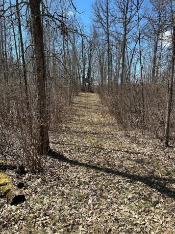 Tbd Ct Road 307 Blackduck MN 56630