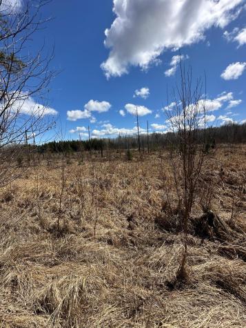 Tbd Ct Road 307 Blackduck MN 56630