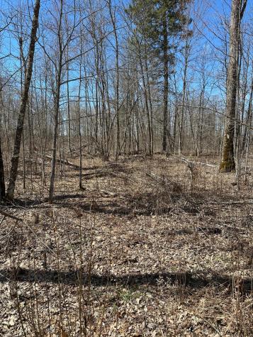 Tbd Ct Road 307 Blackduck MN 56630