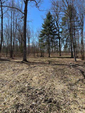 Tbd Ct Road 307 Blackduck MN 56630