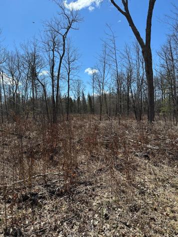 Tbd Ct Road 307 Blackduck MN 56630