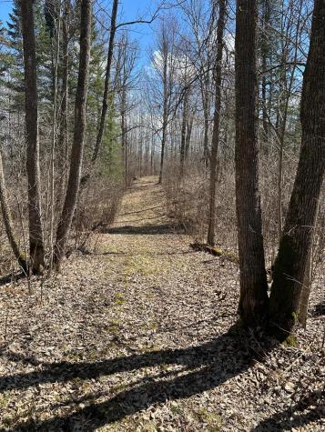 Tbd Ct Road 307 Blackduck MN 56630
