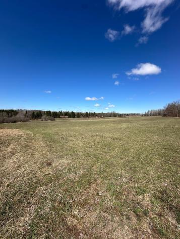 Tbd Ct Road 307 Blackduck MN 56630