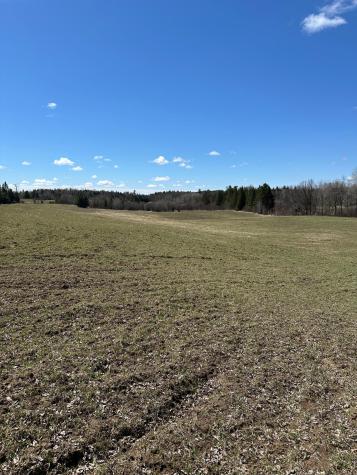 Tbd Ct Road 307 Blackduck MN 56630