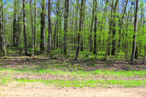 27152 Ode Circle Browerville MN 56438