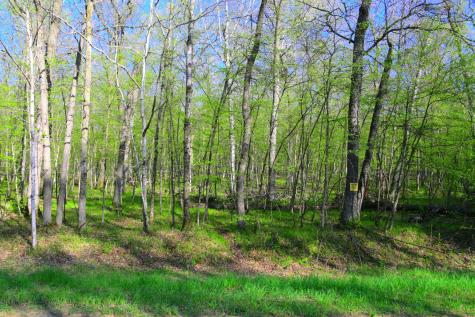 27152 Ode Circle Browerville MN 56438