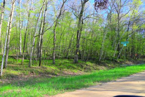 27152 Ode Circle Browerville MN 56438